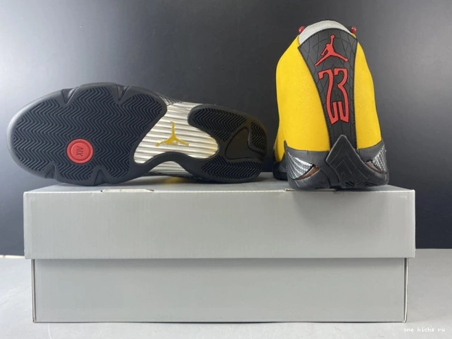 Chep Onekick AIR BQ3685-706 JORDAN 14 GOLD UNIVERSITY RETRO 0529
